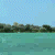 :iconthanks-to-the-brains: