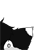 :iconthankyouritz2plz: