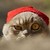 :iconthantra: