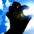 :iconthat-cow: