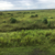 :iconthat-guy-is-it: