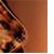 :iconthat-that-loves: