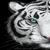 :iconthata777:
