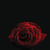 :iconthatguywithatophat: