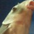 :iconthatnotmeperson: