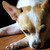 :iconthatonegoat: