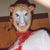 :iconthatonejackass: