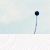 :iconthatphotograph: