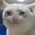 ThatRedAndWhiteCat :iconthatredandwhitecat: