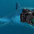 :iconthatsharkwithacamera: