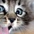 :iconthatsmyfancyusername: