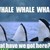 :iconthatwhale: