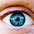 :iconThavipaNL: