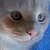 :iconthe--last--flower: