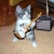 :iconthe-accursed-one: