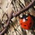 :iconthe-actress: