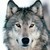 :iconthe-alphawolf:
