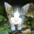 :iconthe-angel-kitty: