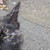 :iconthe-answer42: