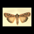 :iconthe-archives:
