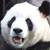 :iconthe-babysitter: