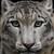 :iconthe-beauty-with-in: