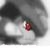 :iconThe-Believer816: