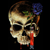 :iconthe-black-rainbow:
