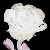 :iconthe-black-roses: