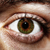 :iconthe-bostonian: