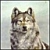 :iconthe-broken-sword: