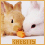 :iconThe-Bunnie-Club: