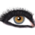 :iconthe-bush-pig: