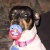 :iconthe-buzzsaw: