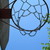 :iconthe-chain-net: