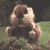 :iconthe-charismatic: