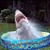 :iconthe-charming-potato: