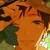 :iconthe-cheerful-one: