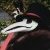 :iconthe-clockroaches: