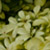 :iconthe-colour-of-sorrow: