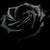 :iconthe-dark-wolf-kiyo: