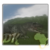 :iconthe-dinosaur-king: