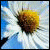 :iconthe-dirty-hippie: