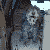 :iconthe-eem: