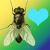:iconthe-fly-7: