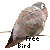 :iconthe-freebird:
