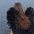 :iconthe-fucshia-murders: