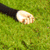 :iconthe-funeral-whore: