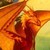 :iconthe-grand-user: