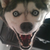 :iconthe-greatest-lonehat:
